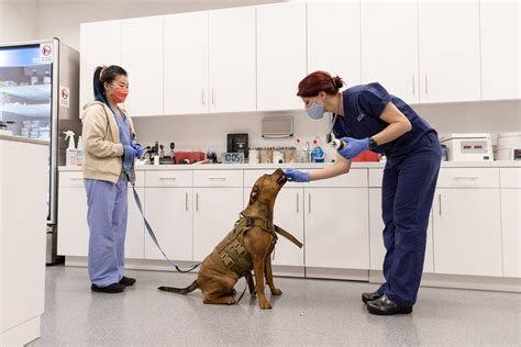 Veterinarians Centers 